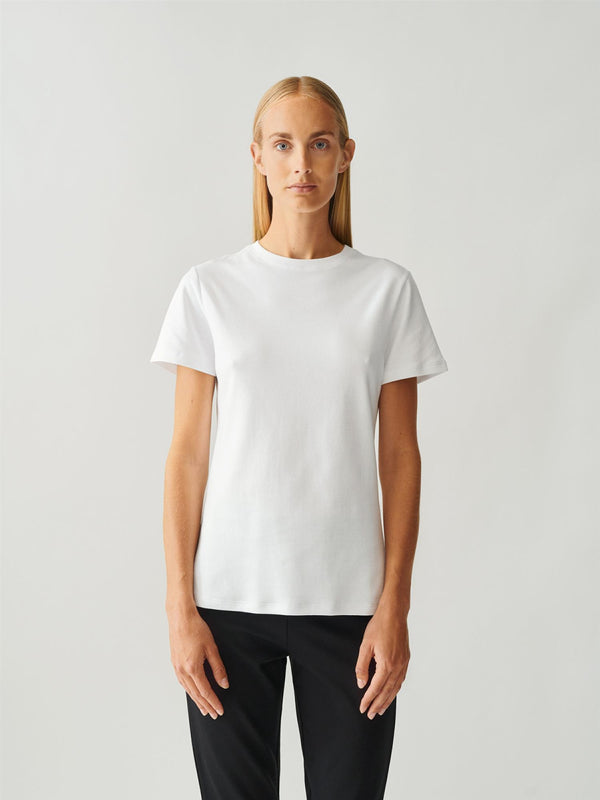 Roundneck Cotton Jersey Tee