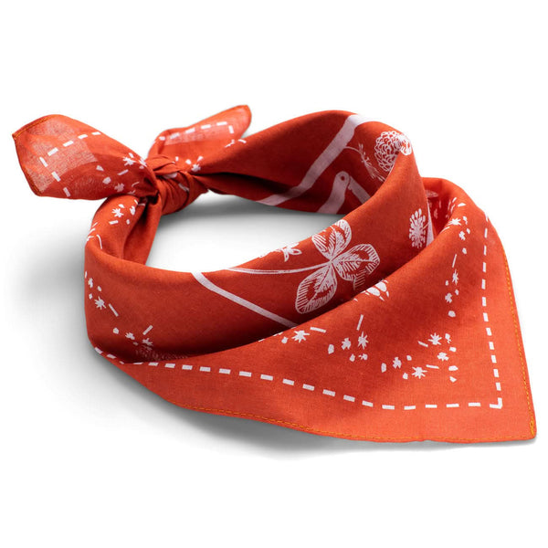 Vagabond Bandana